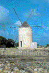 El Pilar
