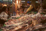 MercatDeLolivar002.jpg