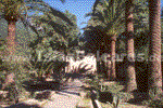 JardinesDeAlfabia002.jpg