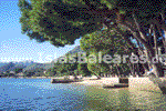 PortDePollenca005.jpg
